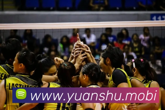 开云手机在线官网登录发展历程